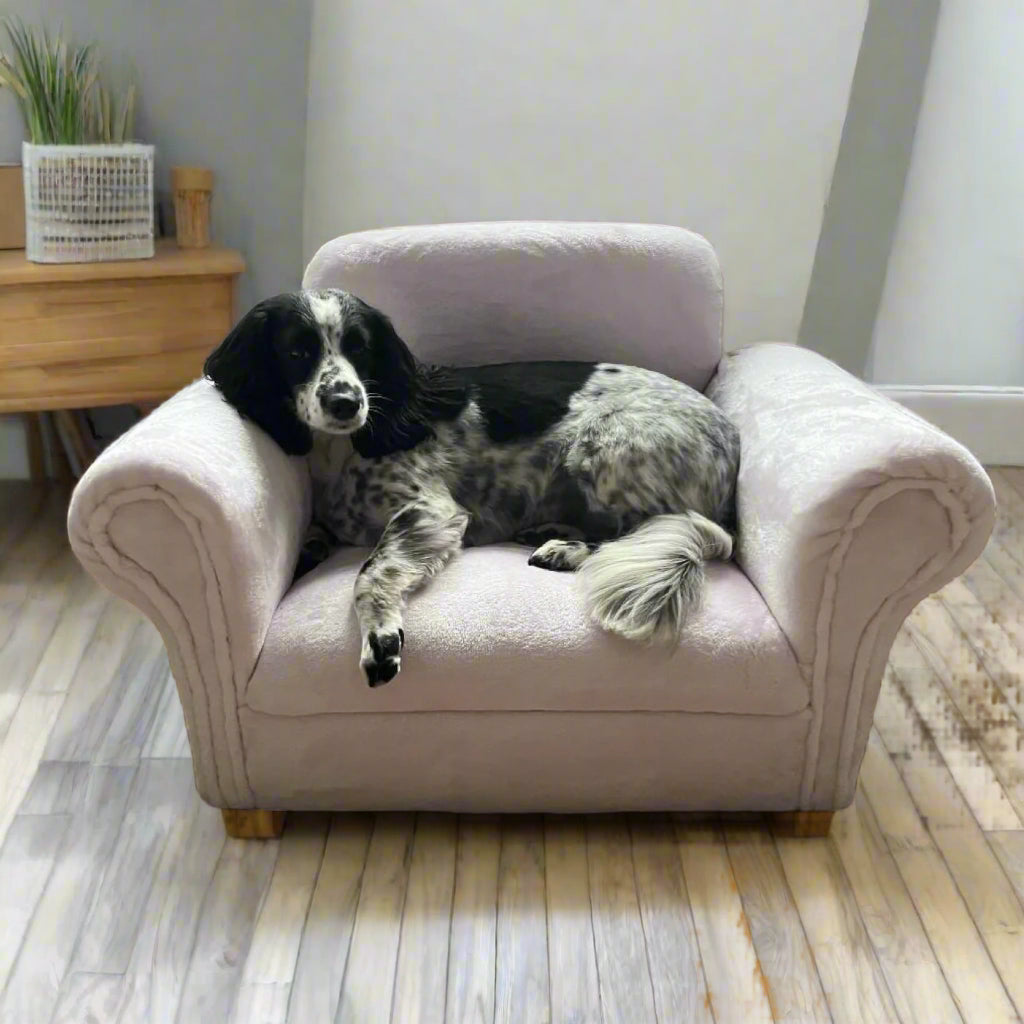 Luxury Pet Beds
