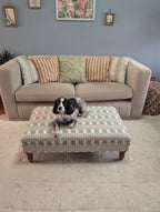 A black and white dog lies on a patterned fabric ottoman in front of a beige sofa in a living room with a blue-gray wall and a cream rug.
