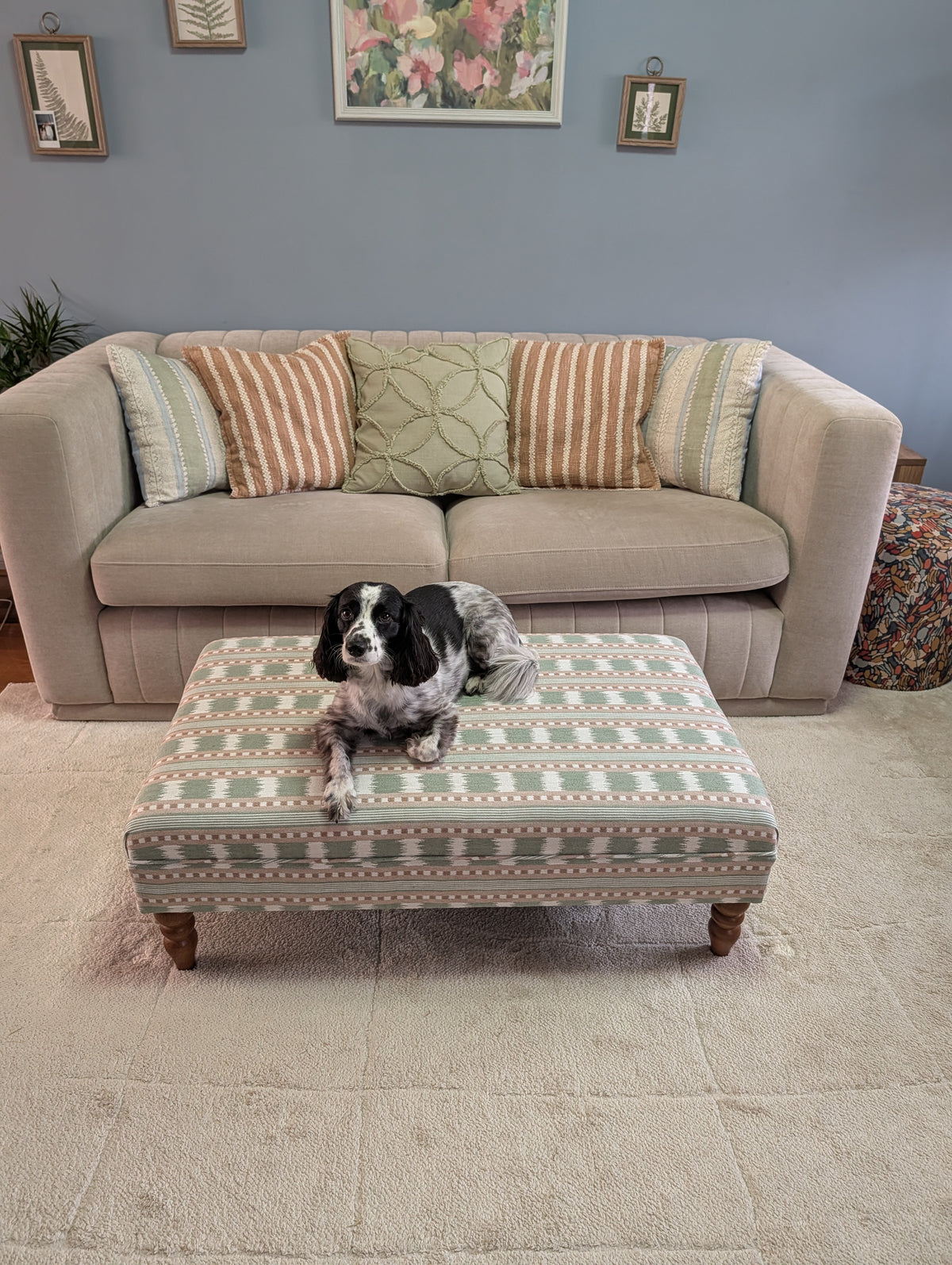 A black and white dog lies on a patterned fabric ottoman in front of a beige sofa in a living room with a blue-gray wall and a cream rug.