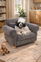 Small armchair made for dogs and cats in charcoal fabric on a cream rug