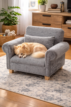 Small armchair with a chihuahua on in a living room setting with a coloured rug. 