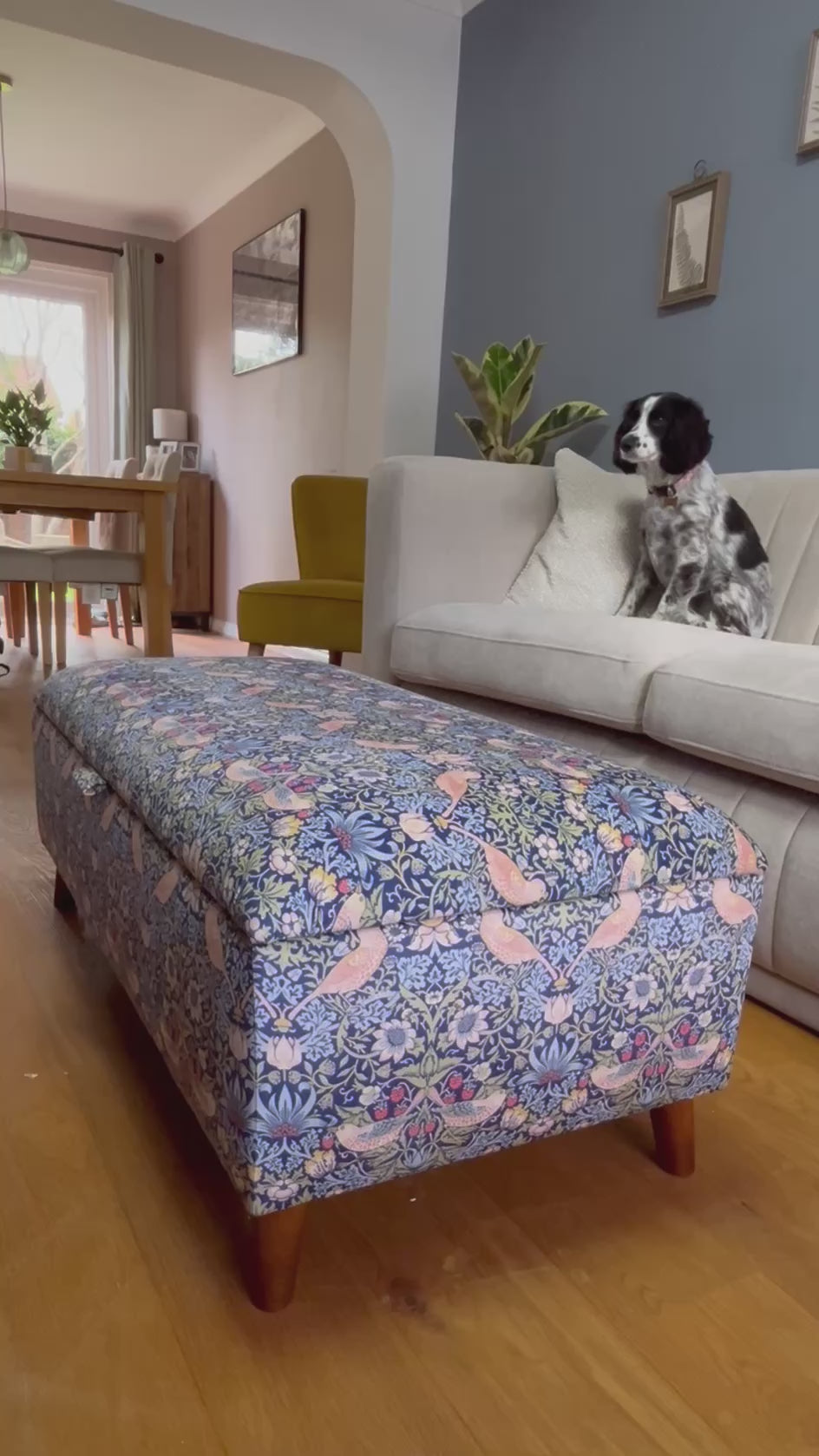 Opening of a William Morris Navy blue Strawberry Thief Velvet ottoman with a blanket being put inside and a black and white spaniel on the sofa behind watching. 